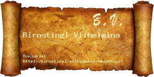 Birnstingl Vilhelmina névjegykártya